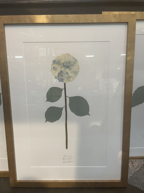 Pressed hydrangeas